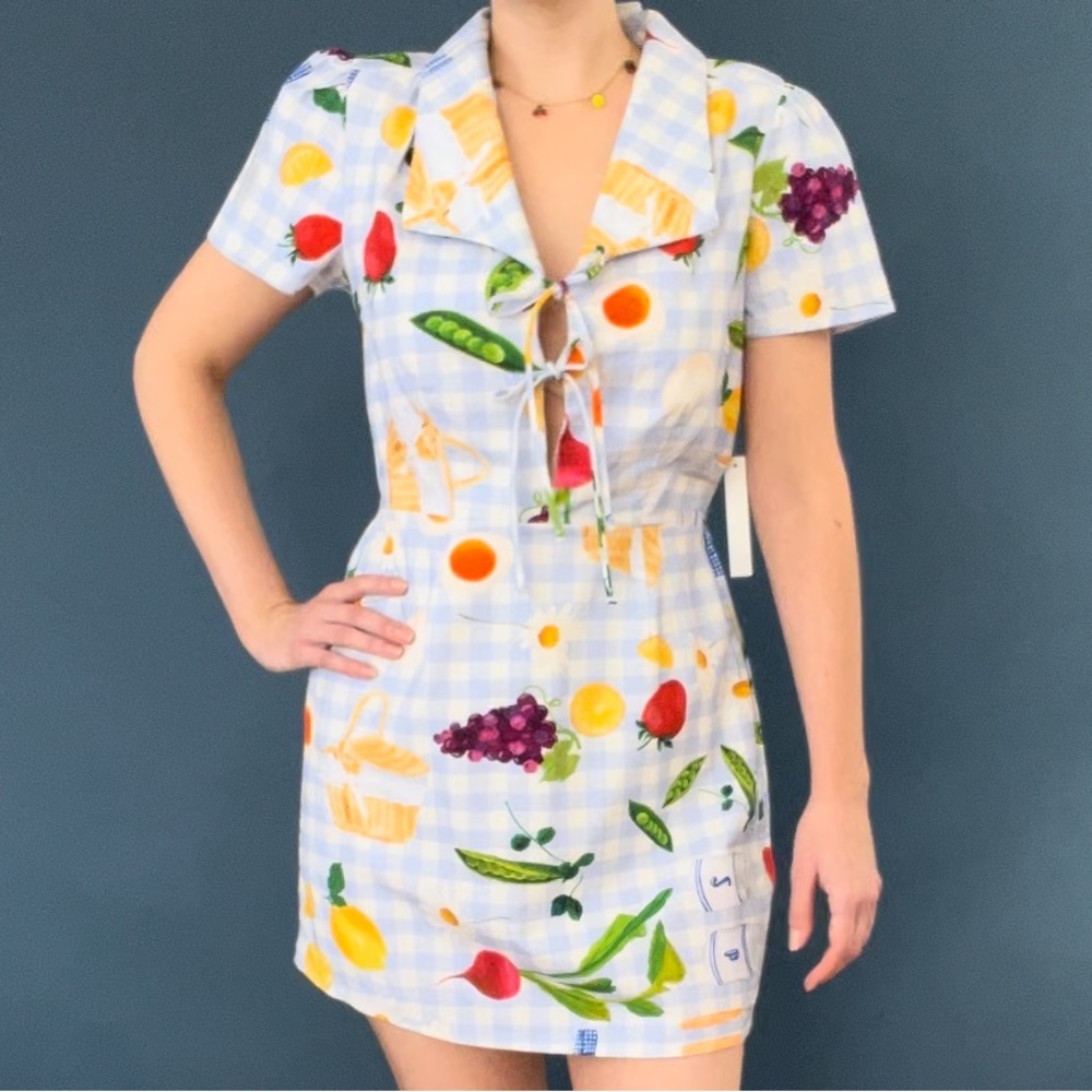 NWT Lisa Says Gah Picnic Alfresco Gingham Alexa Shirtdress XS - Picture 6 of 13